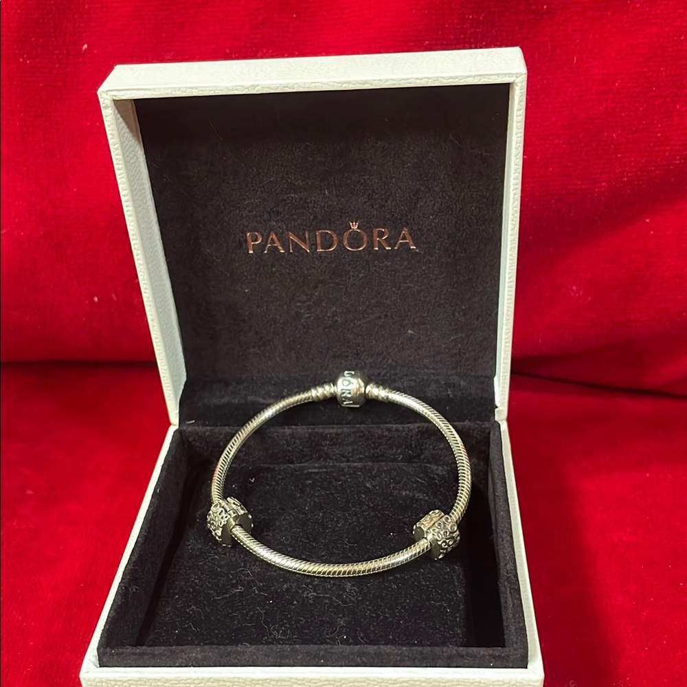 Brand new Pandora Silver Bangle Bracelet with Charms